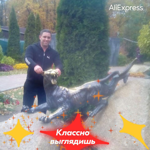 ���� 24550403 ������� ����, 41 ���, ���� ���������� � �������