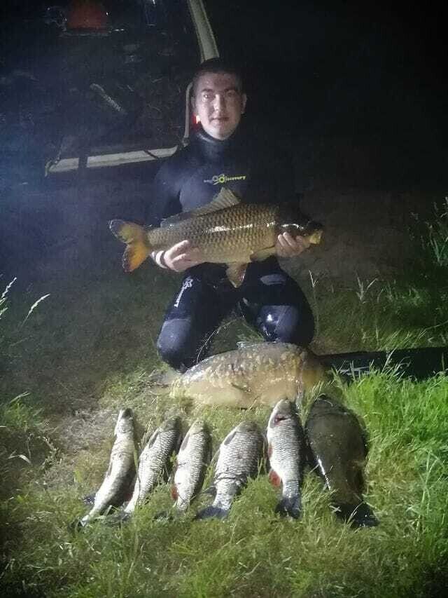  ,   , 33 ,   