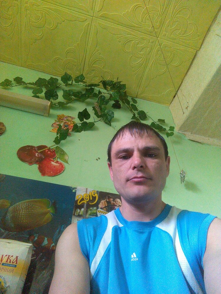  36286433  , 39 ,    