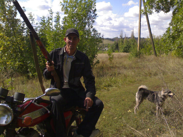  20106433  , 53 ,    