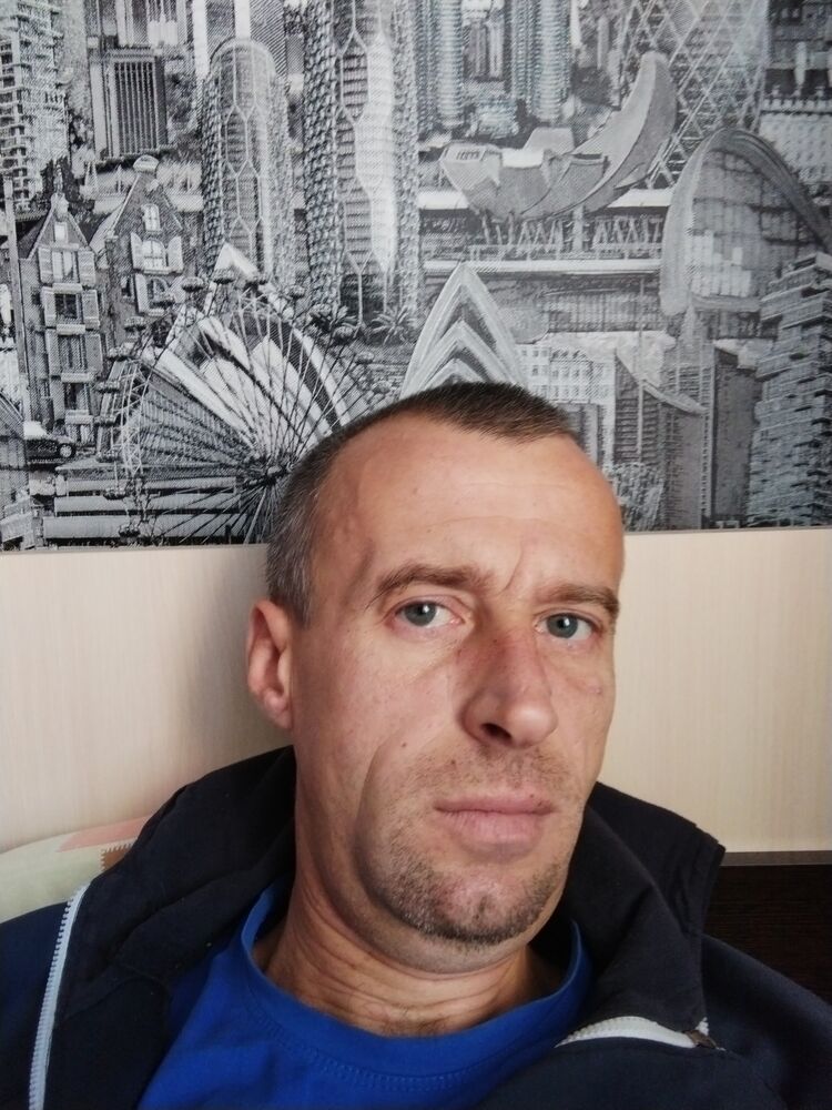  31396023  , 43 ,    
