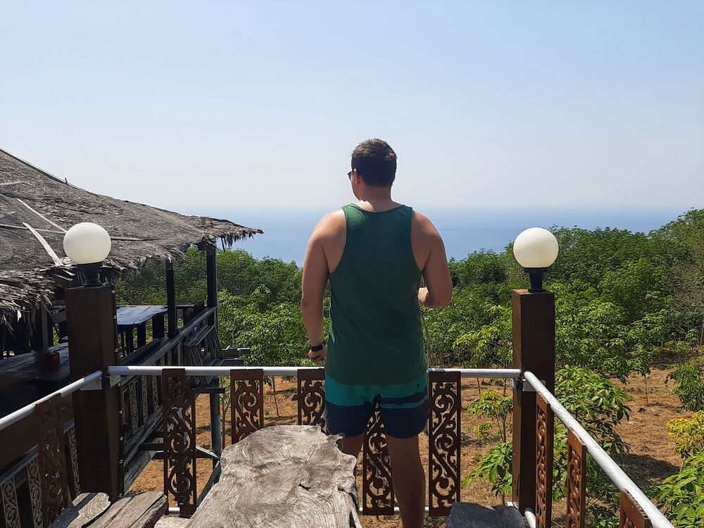  45229333  , 31 ,    -