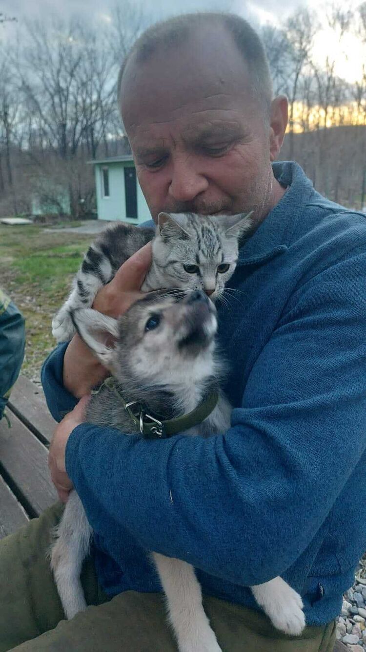 ���� 55119353 ������� ����, 57 ���, ���� ���������� � ������������