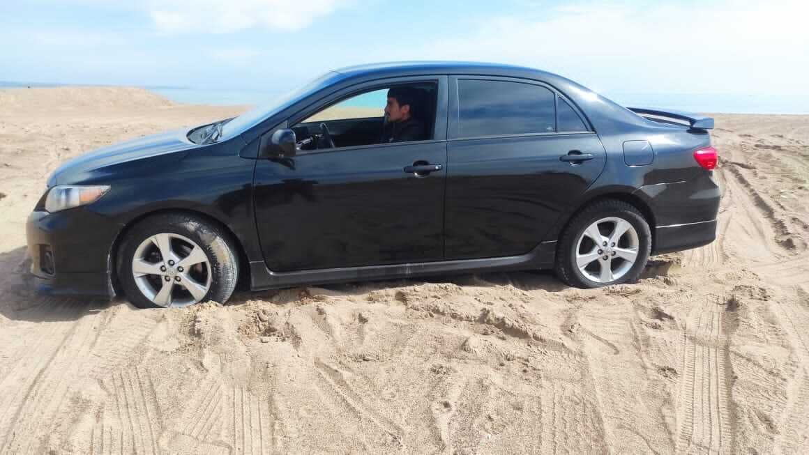 ���� 26216453 ������� ������, 30 ���, ���� ���������� � �������-����