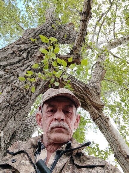 ���������� ���������, ���� ������� ������, 63 ����, ������������ ��� ������, ����� � ���������