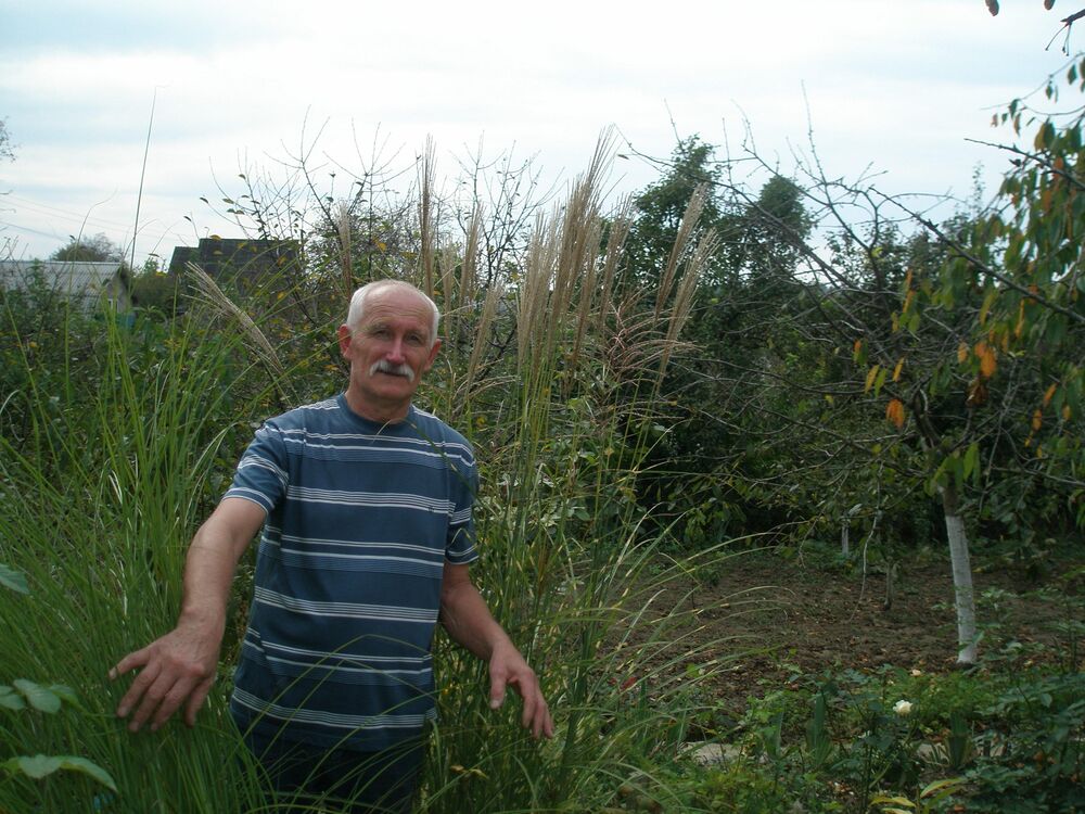 ���������� ��������������, ���� ������� ��������, 73 ����, ������������ ��� ������, ����� � ���������, c�������� ���������