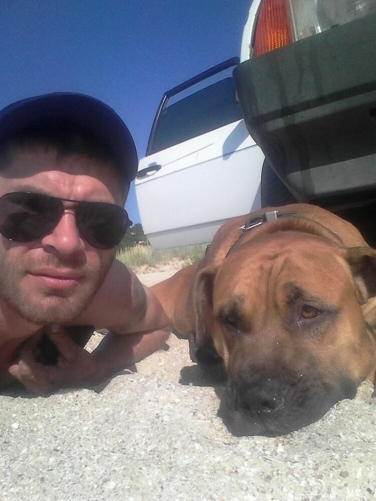 ���� 9766543 ������� ����, 39 ���, ���� ���������� � ����������