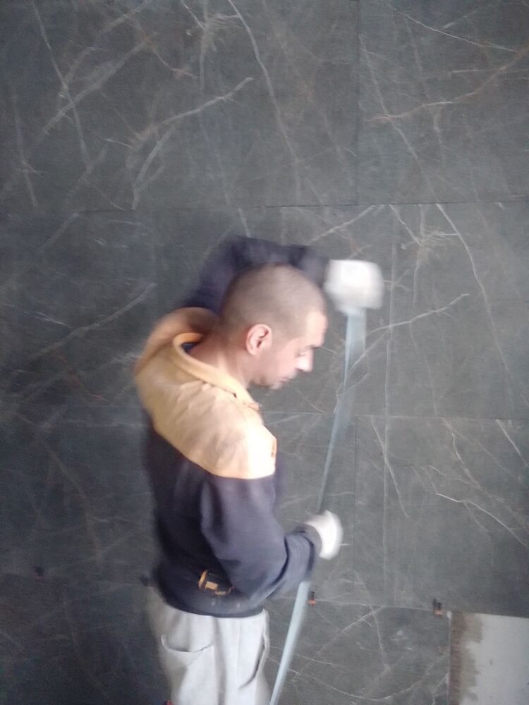  24737803  , 42 ,    