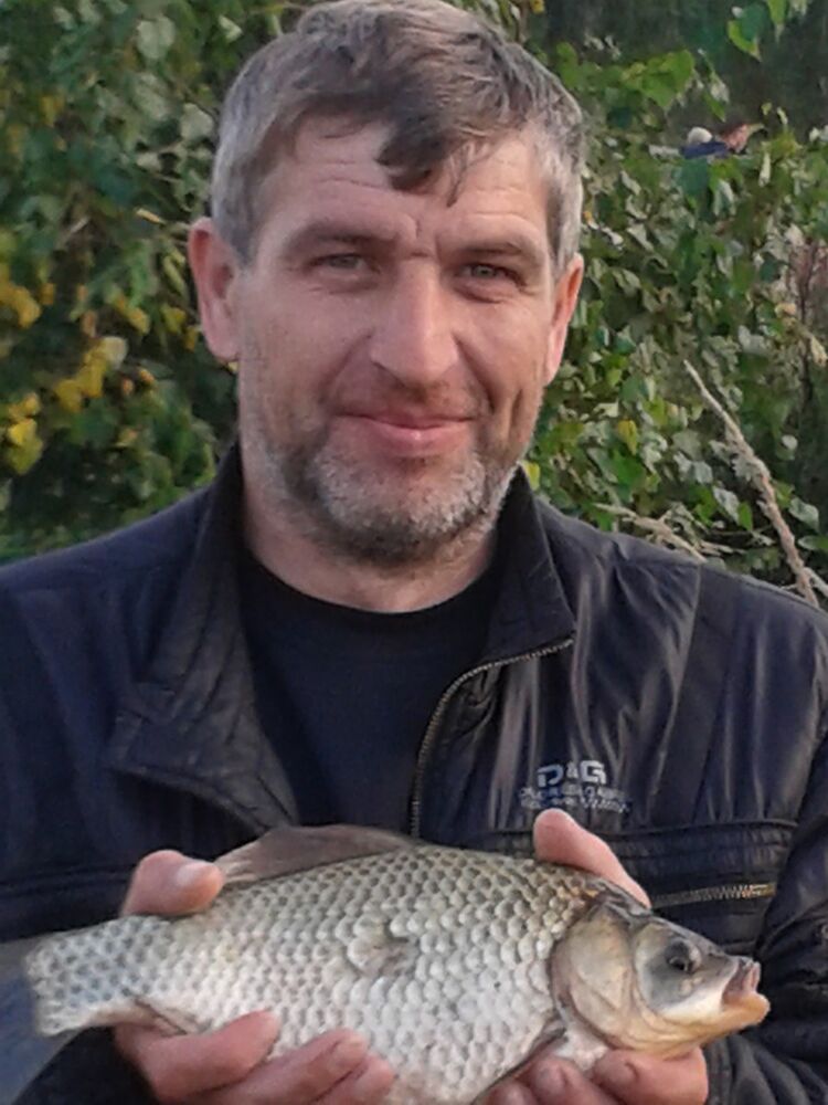   ,   , 53 ,   