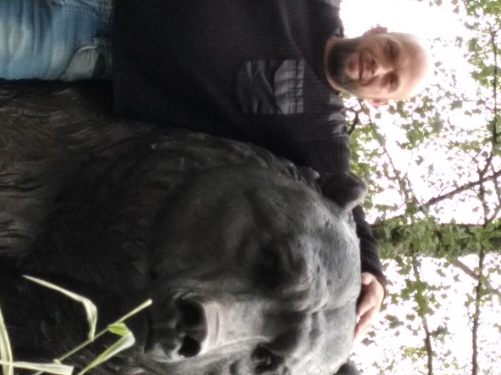 ���� 21133363 ������� ���������, 46 ���, ���� ���������� � �����-����������