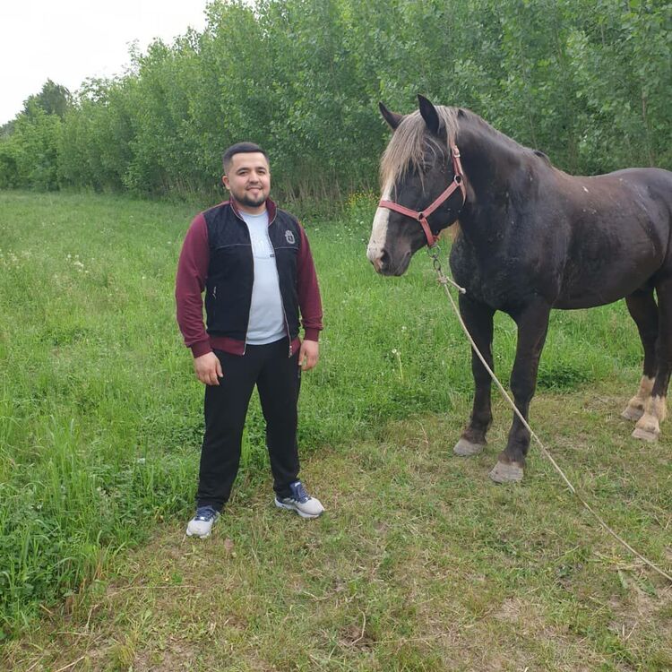 ���� 27469643 ������� ����, 36 ���, ���� ���������� � ������