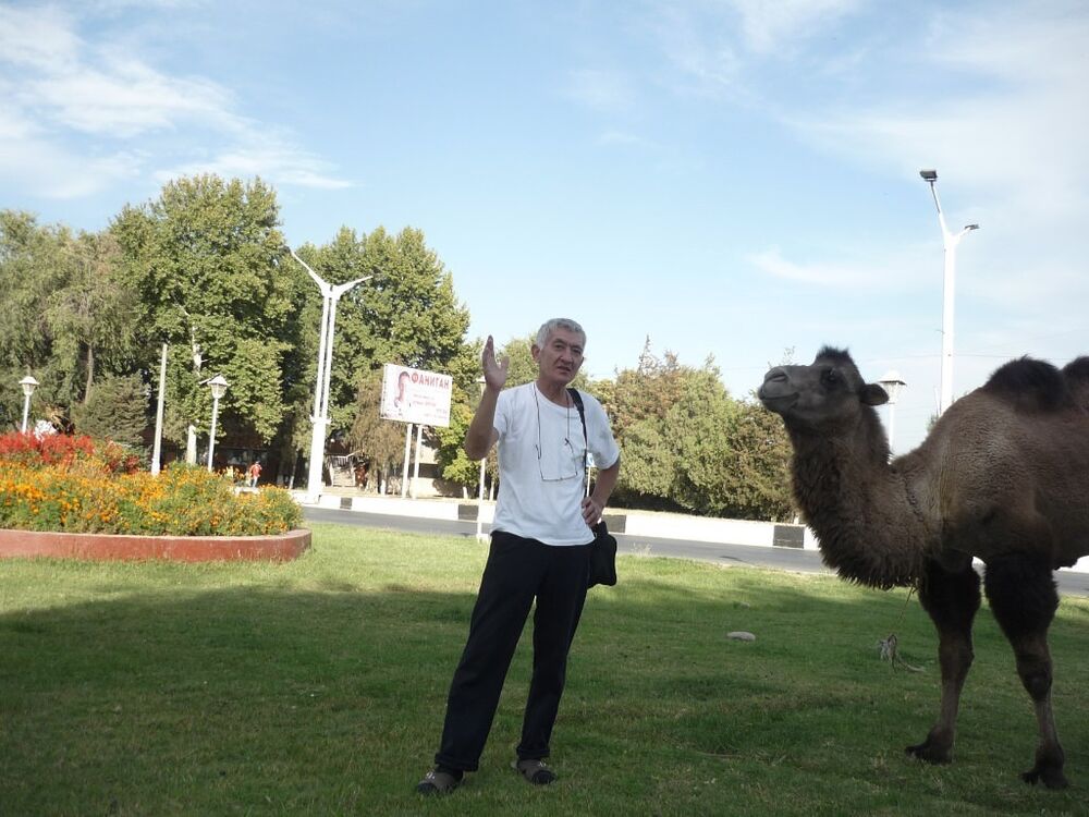 ���������� �������, ���� ������� Anton, 56 ���, ������������ 