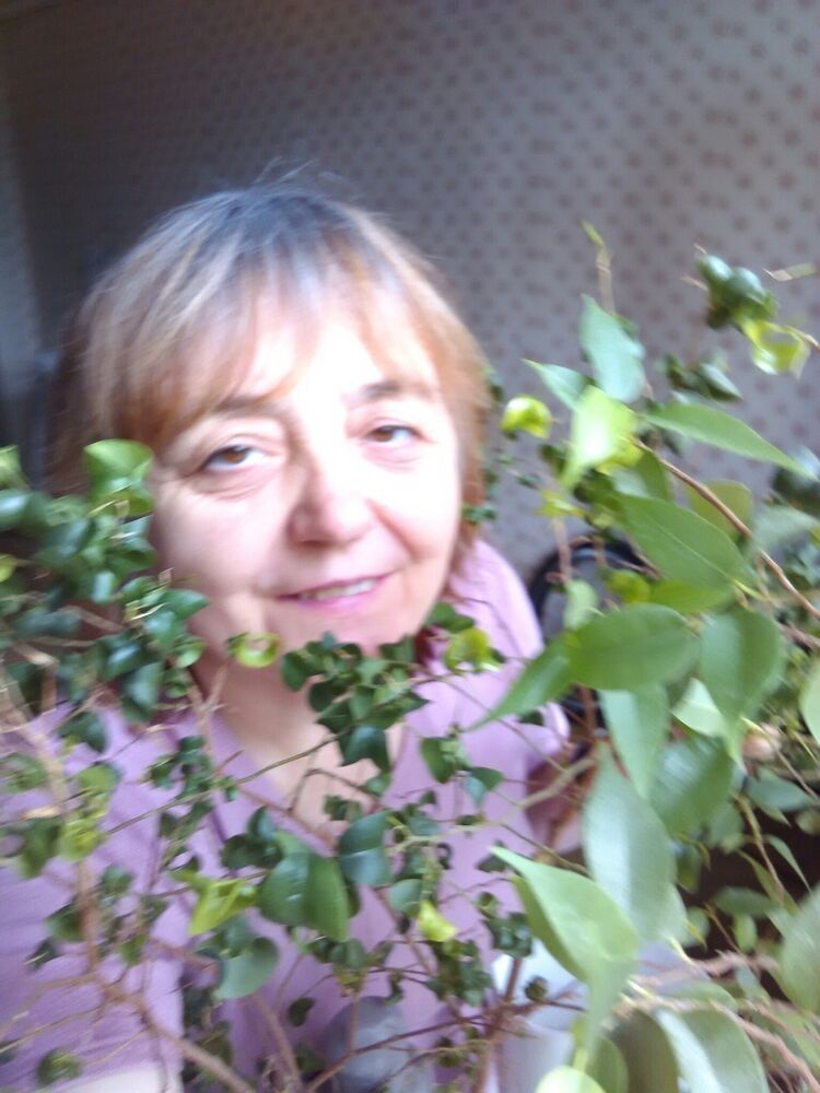 ���� 8622273 ������� �������, 68 ���, ���� ���������� � ������