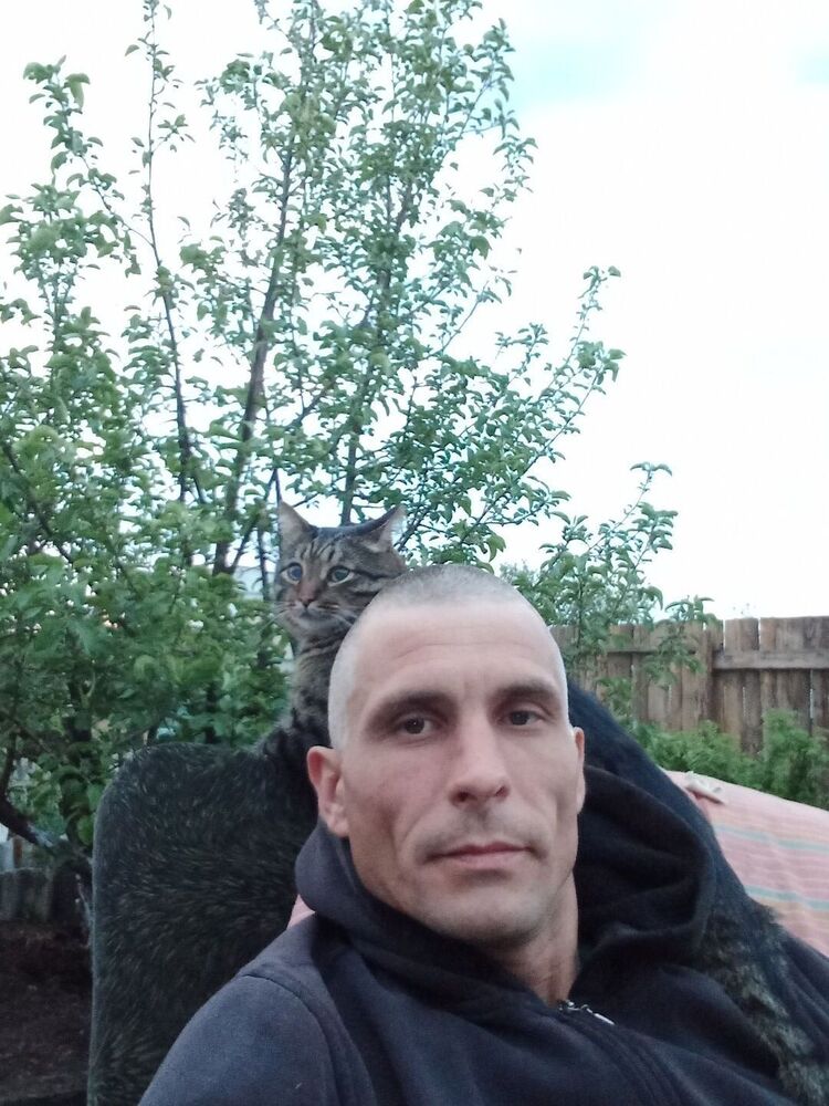  26818173  , 41 ,    