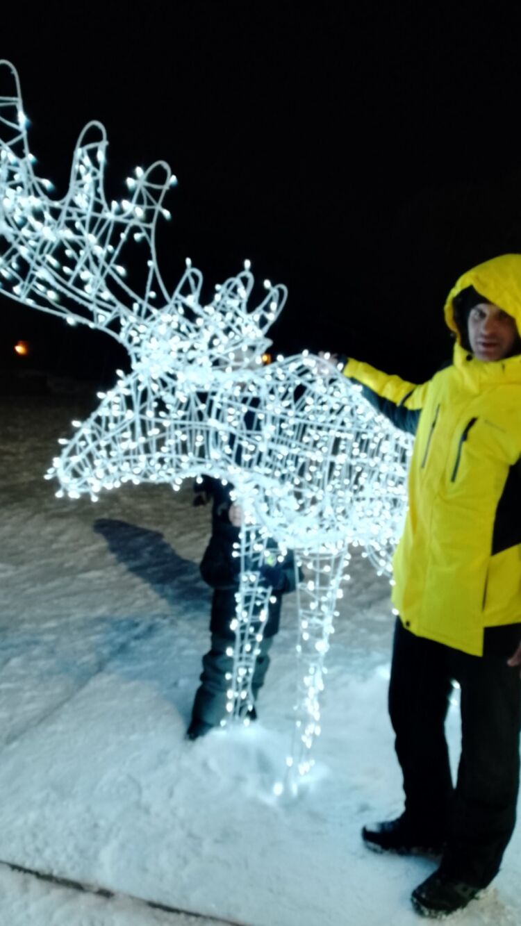 ���� 33317513 ������� �����, 33 ����, ���� ���������� � ������������