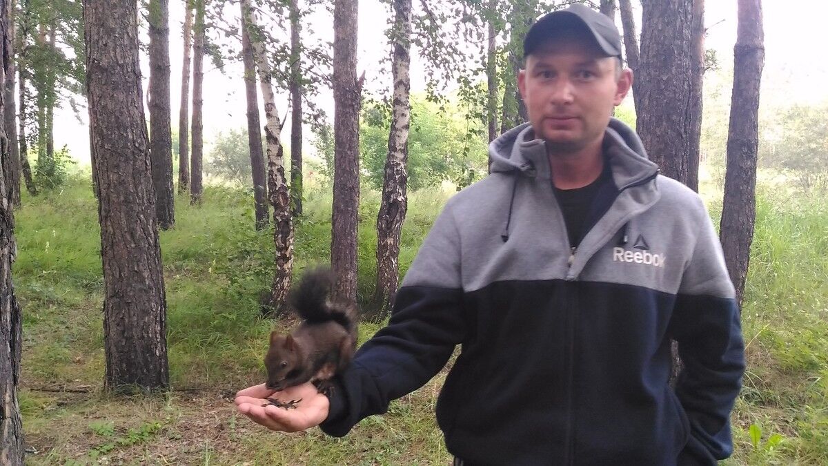 ���������� �������, ���� ������� ���������, 36 ���, ������������ ��� ������, ����� � ���������, c�������� ���������