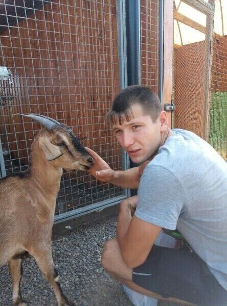 ���� 55345343 ������� �����, 29 ���, ���� ���������� � ��������