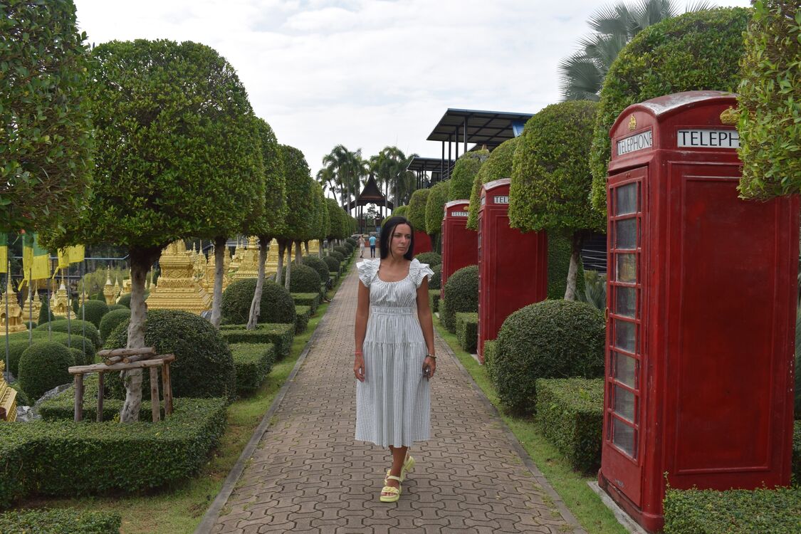 ���� 56006653 ������� ���������, 42 ����, ���� ���������� � �����