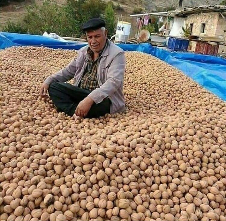 ���� 11161583 ������� ������, 52 ����, ���� ���������� � ���������