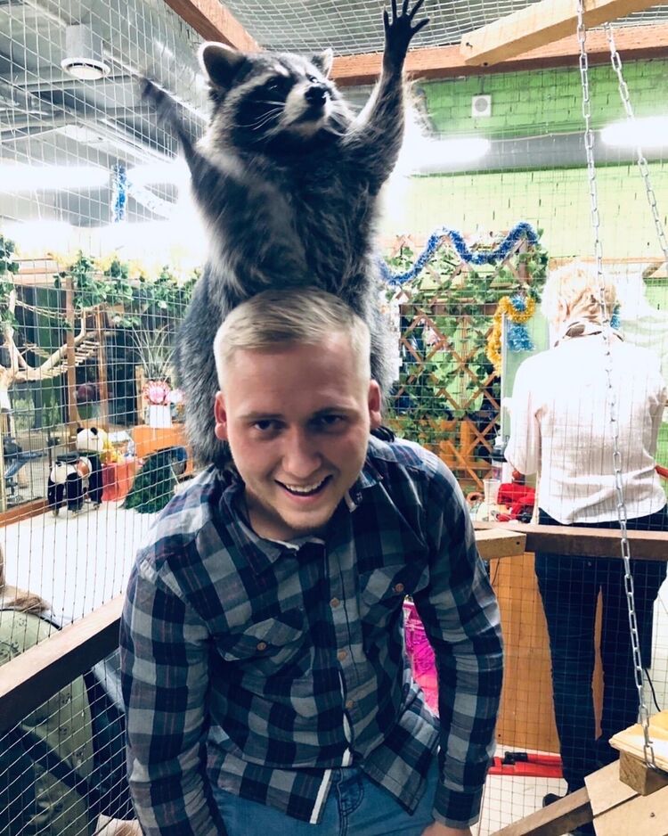 ���� 33139873 ������� �����, 26 ���, ���� ���������� � ��������