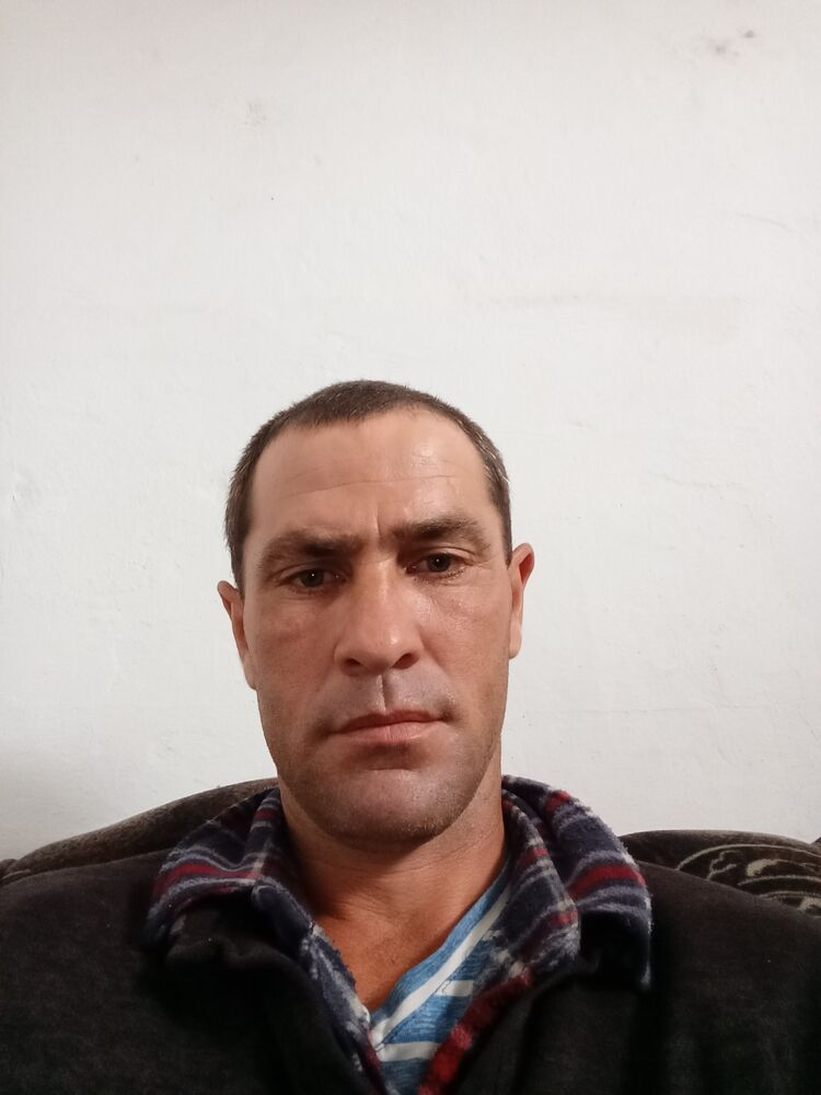  44651373  , 37 ,    