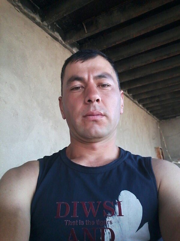  45364003  , 33 ,    