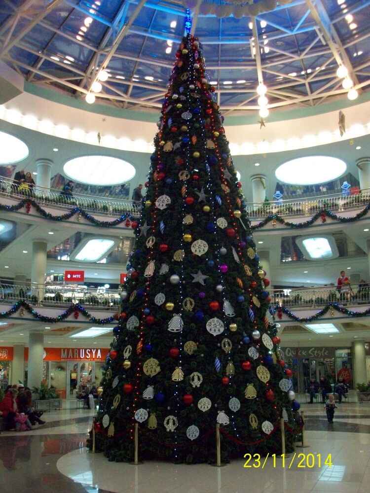 ���������� �����, ���� ������� ����, 49 ���, ������������ ��� ������, ����� � ���������, c�������� ���������