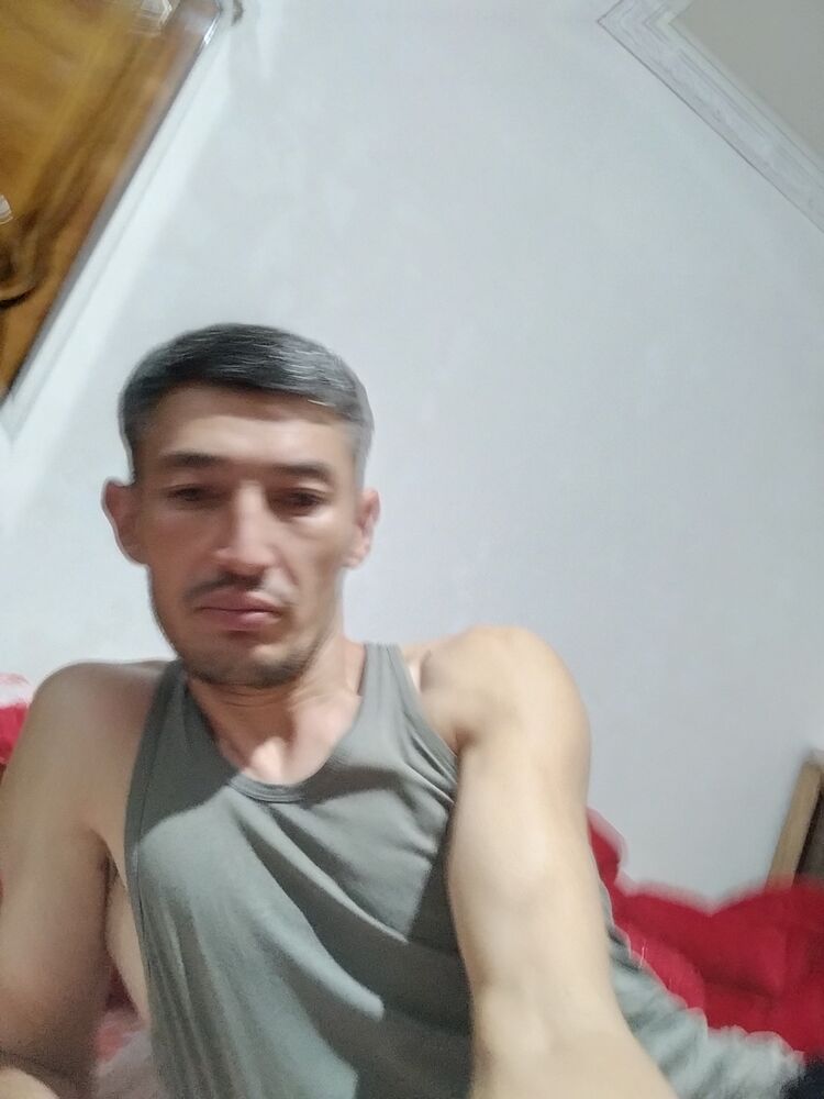 34205033  , 38 ,    