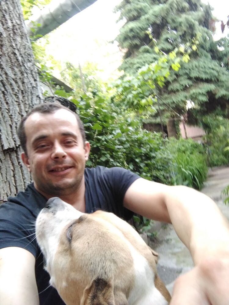 ���������� ��������������, ���� ������� ���������, 43 ����, ������������ ��� ����� � ���������, c�������� ���������