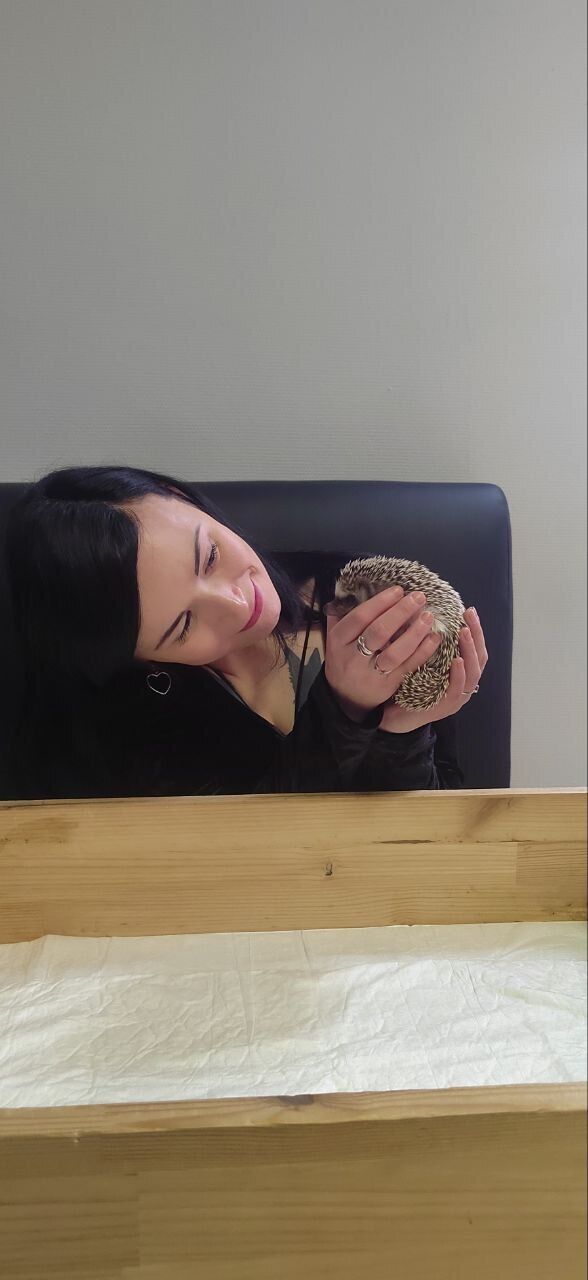 ���������� �����-���������, ���� ������� ������, 34 ����, ������������ ��� ������, ����� � ���������, c�������� ���������