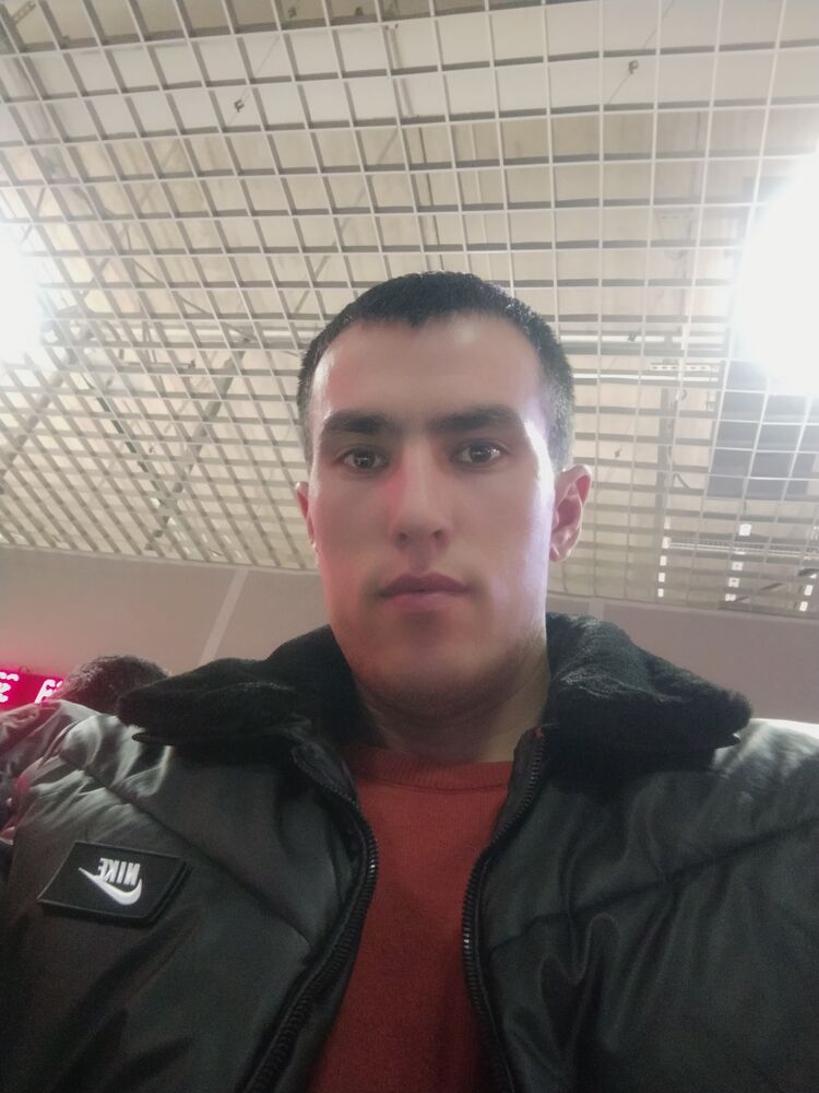  50508583  , 27 ,    