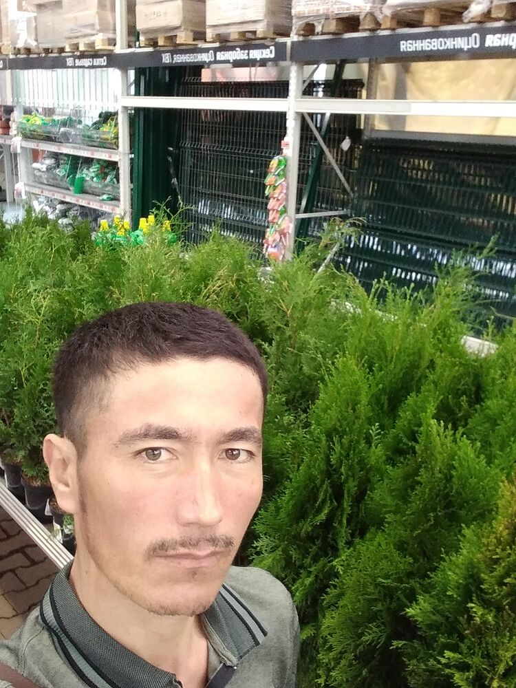  -,   , 36 ,   ,   