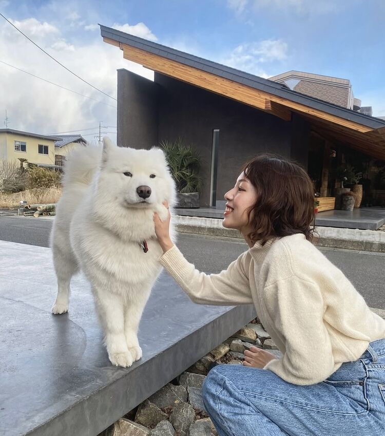 ���������� Kwangju, ���� ������� ���, 26 ���, ������������ ��� ������, ����� � ���������, ���������