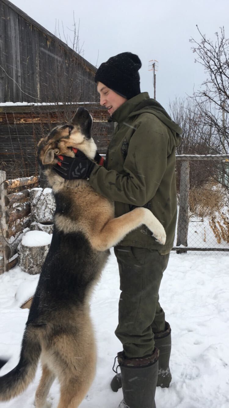 ���� 24935063 ����� �������, 25 ���, ���� ���������� � �������������