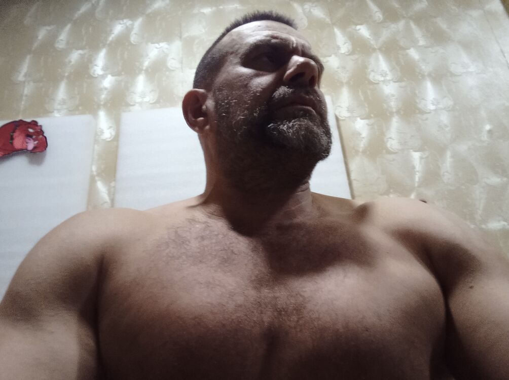  50354703  , 51 ,    