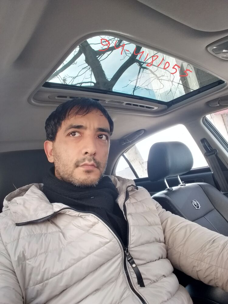  31348763  , 43 ,    