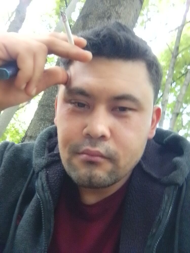  35564673  , 33 ,    