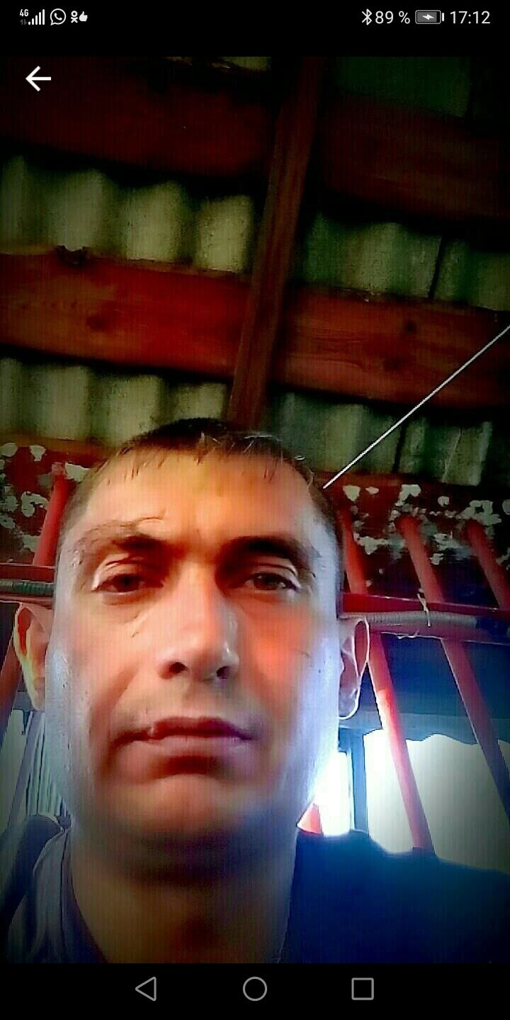  31097703  , 43 ,    