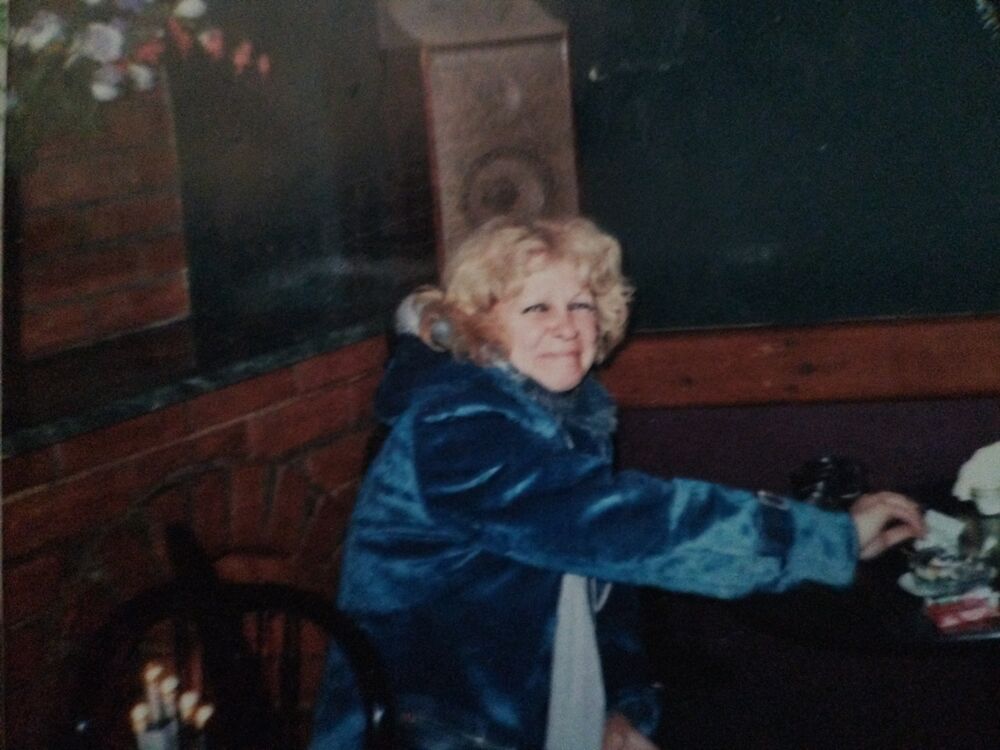  54520783  , 48 ,    -