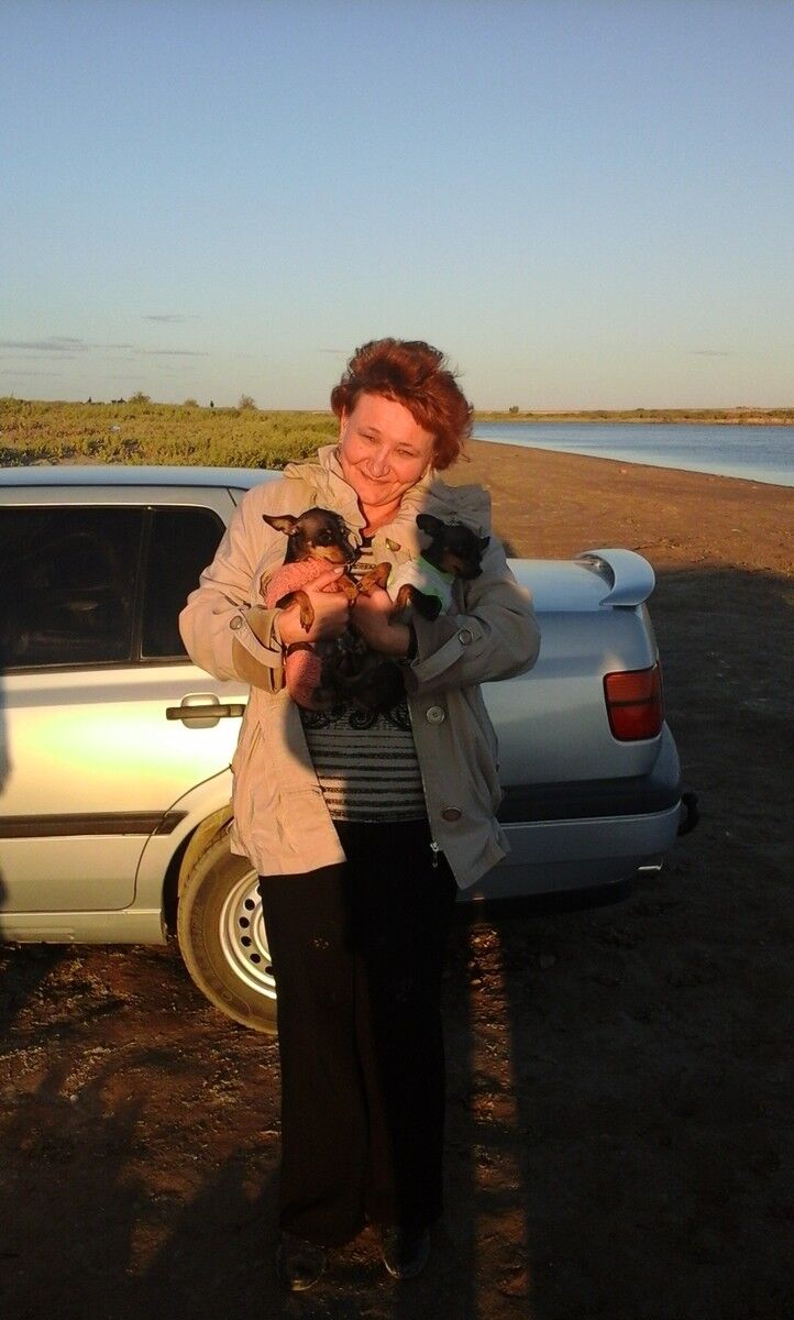 ���������� ��������, ���� ������� ����, 53 ����, ������������ ��� ������