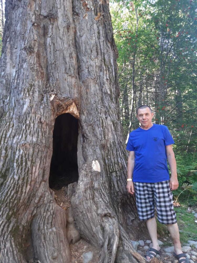 ���������� �������, ���� ������� �������, 59 ���, ������������ ��� ������, ����� � ���������