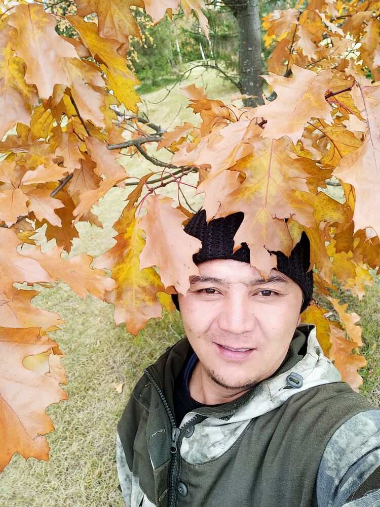  26227803  Ramil, 43 ,    