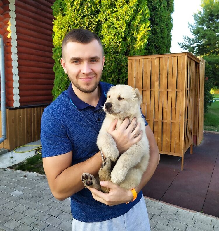 ���������� �����, ���� ������� ���������, 40 ���, ������������ ��� ������, ����� � ���������, c�������� ���������