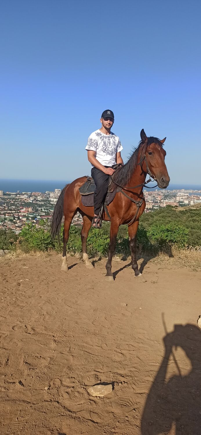 ���������� ���������, ���� ������� TTT, 28 ���, ������������ ��� ������, ����� � ���������, c�������� ���������, ���������