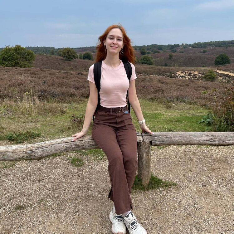 ���������� ��������, ���� ������� ���������, 30 ���, ������������ ��� ������, ����� � ���������