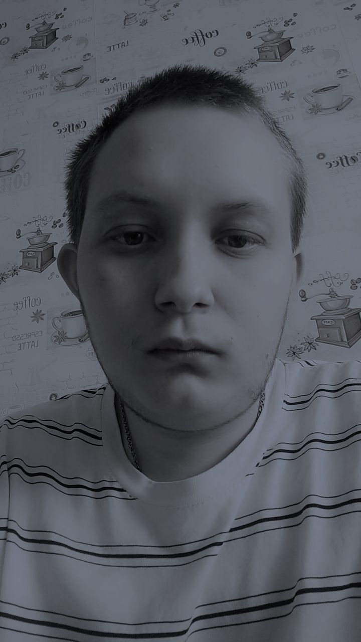  42347043  , 21 ,    