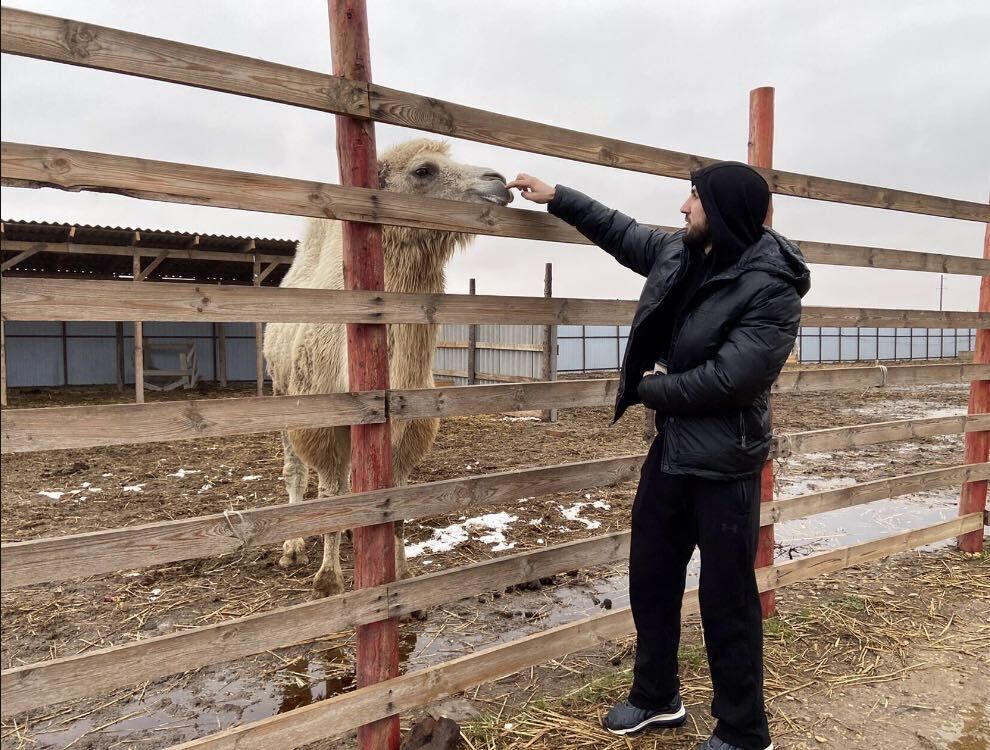 ���� 37345203 ������� �����, 32 ����, ���� ���������� � ���������