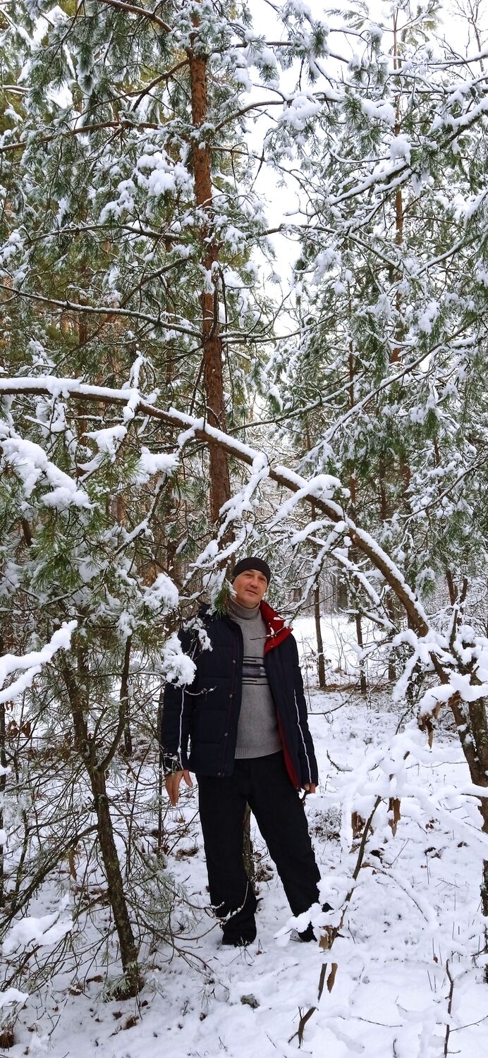 ���������� ������, ���� ������� ����������, 46 ���, ������������ ��� ������, ����� � ���������