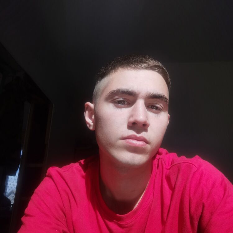  51406773  , 26 ,    