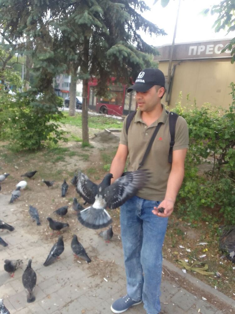 ���������� ���������, ���� ������� ������, 29 ���, ������������ ��� ������, ����� � ���������